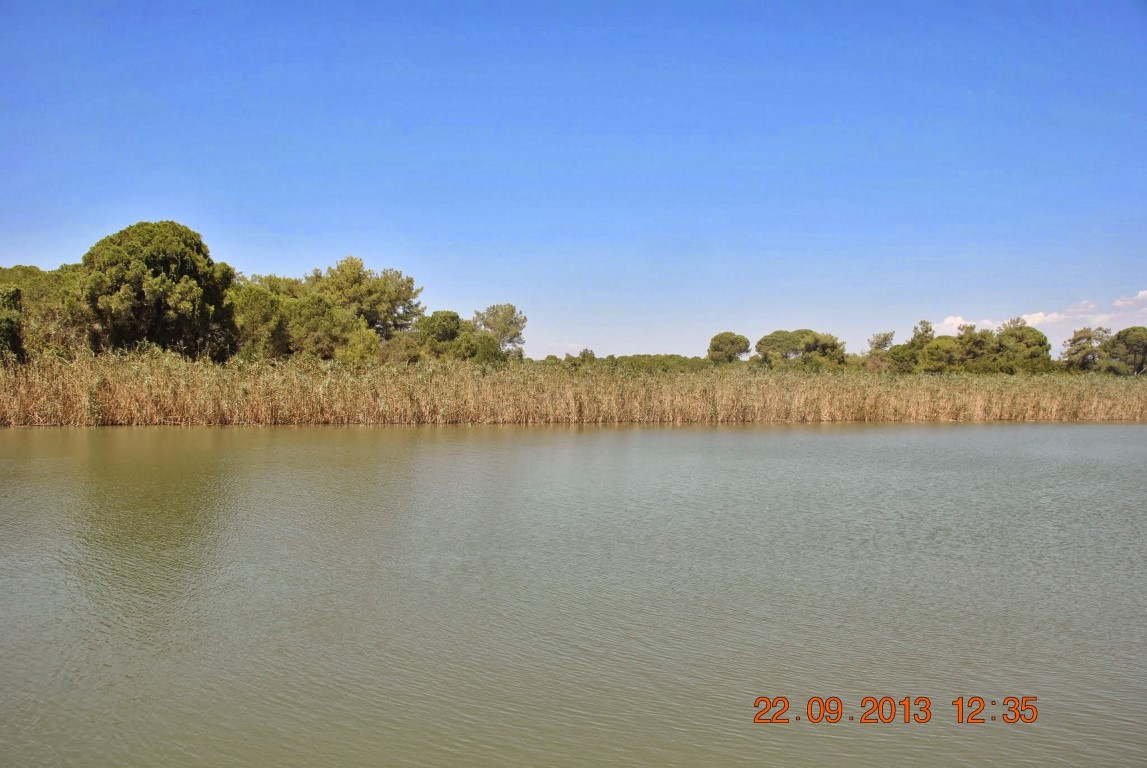 imagini hotel TITANIC BELEK